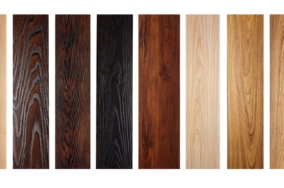 different wood species